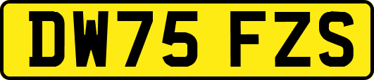 DW75FZS