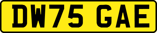 DW75GAE