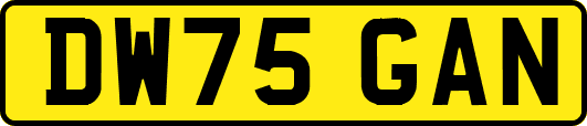 DW75GAN