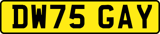 DW75GAY