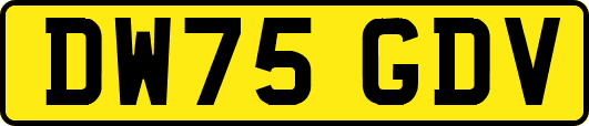 DW75GDV