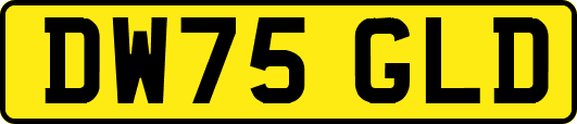 DW75GLD
