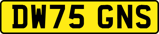 DW75GNS