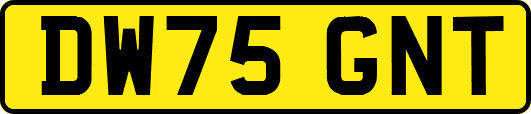 DW75GNT