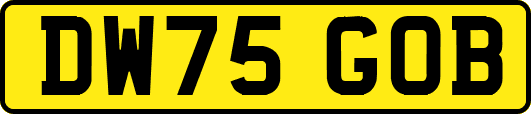 DW75GOB