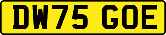 DW75GOE