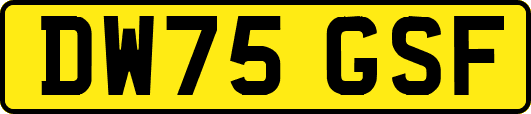 DW75GSF
