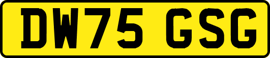 DW75GSG