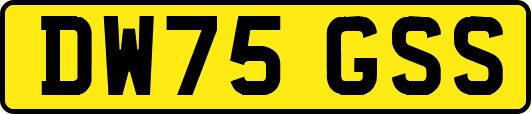 DW75GSS