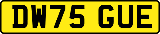 DW75GUE