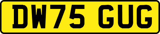 DW75GUG