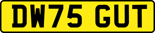 DW75GUT