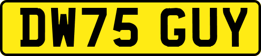 DW75GUY