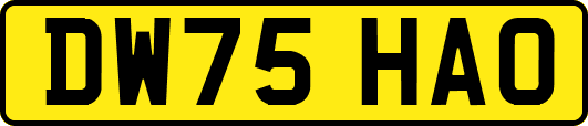 DW75HAO