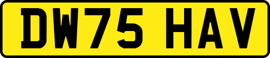 DW75HAV