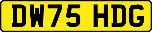 DW75HDG
