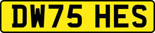 DW75HES