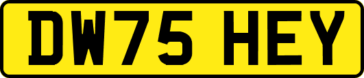 DW75HEY