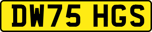 DW75HGS