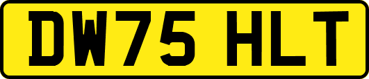 DW75HLT