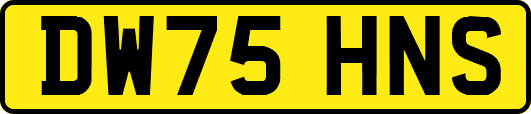 DW75HNS