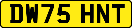 DW75HNT