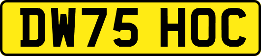 DW75HOC