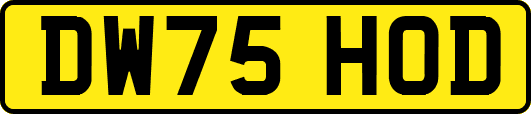 DW75HOD
