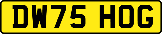 DW75HOG