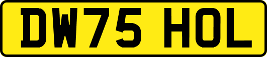 DW75HOL
