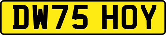DW75HOY