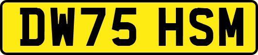 DW75HSM