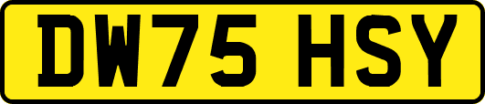 DW75HSY
