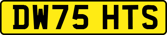 DW75HTS