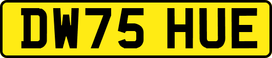 DW75HUE