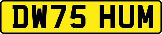 DW75HUM