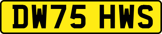 DW75HWS