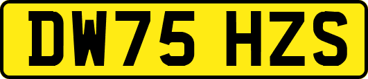 DW75HZS