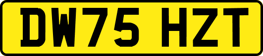 DW75HZT