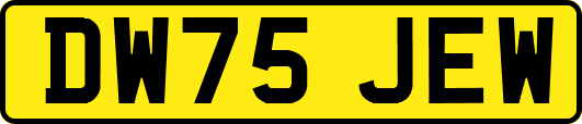 DW75JEW
