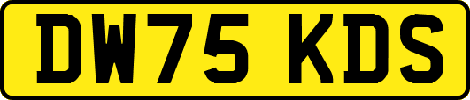 DW75KDS