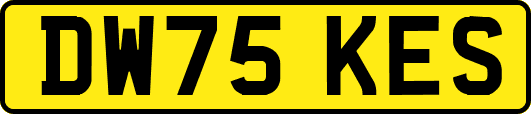 DW75KES