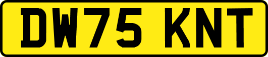 DW75KNT