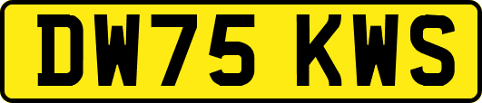 DW75KWS