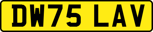 DW75LAV
