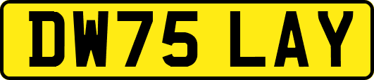 DW75LAY