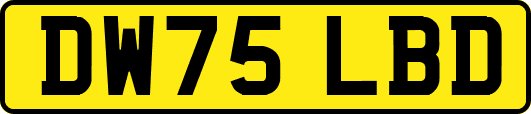 DW75LBD