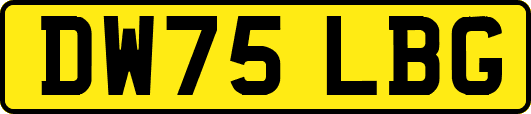 DW75LBG