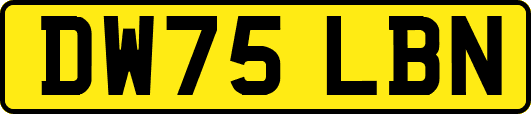 DW75LBN