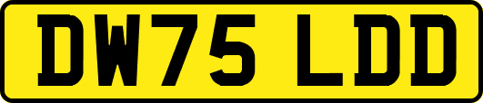 DW75LDD